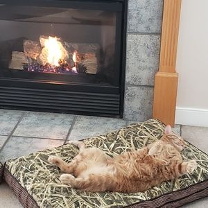 Meet your Posher, Dee